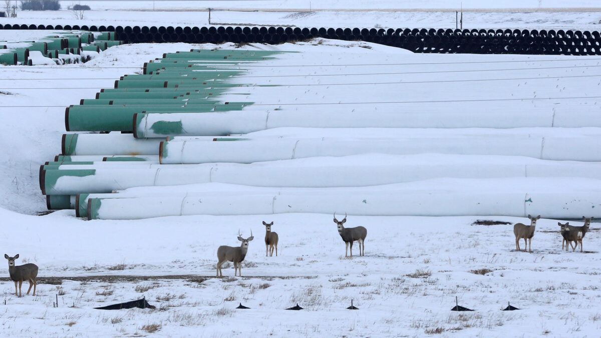 El oleoducto Keystone sufre una fuga y derrama 795.000 litros de petróleo