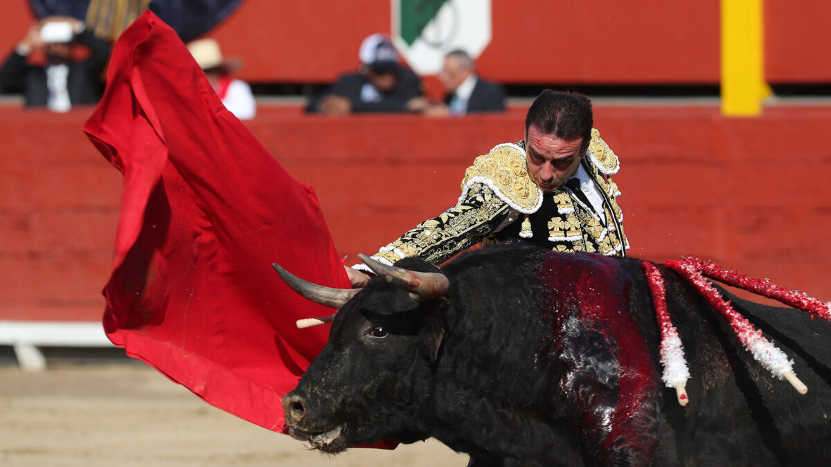 Enrique Ponce, Premio Nacional de Tauromaquia 2017