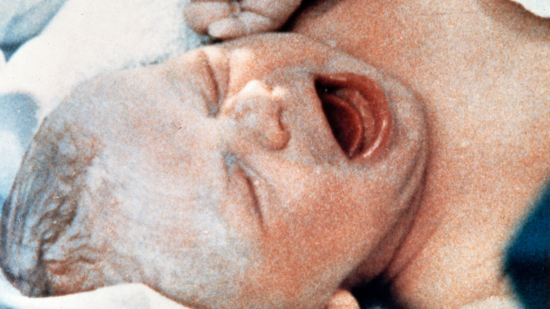 Nace el primer bebé del mundo a partir de un óvulo vitrificado automatizadamente