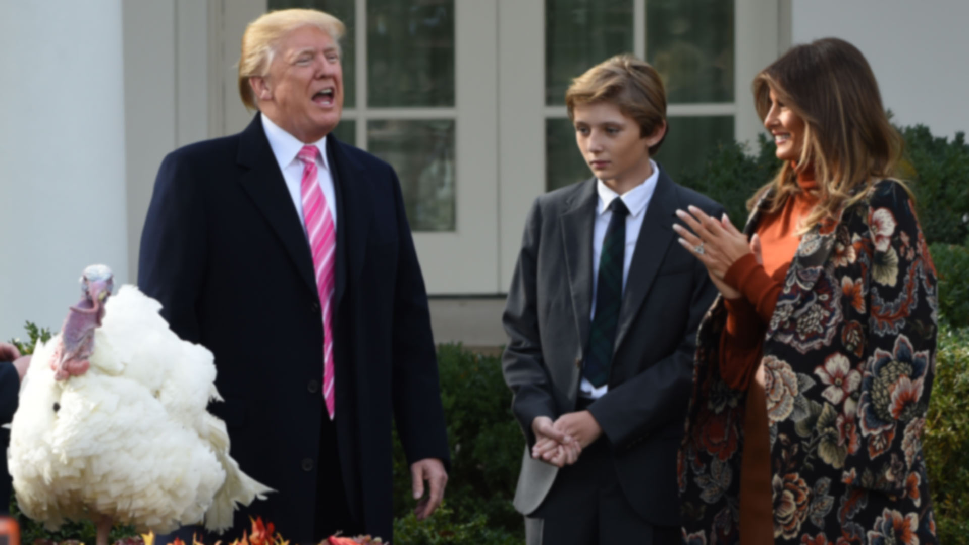 Trump indulta a dos pavos antes de Acción de Gracias