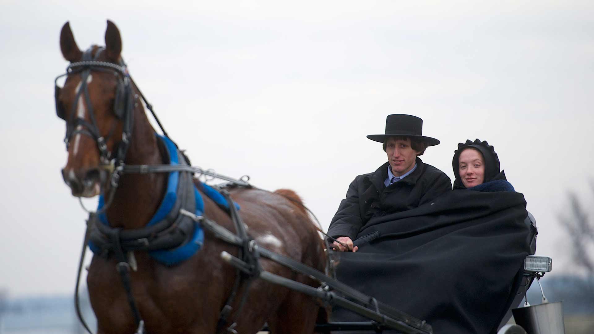 Una mutación genética en los Amish alarga su vida 10 años 1