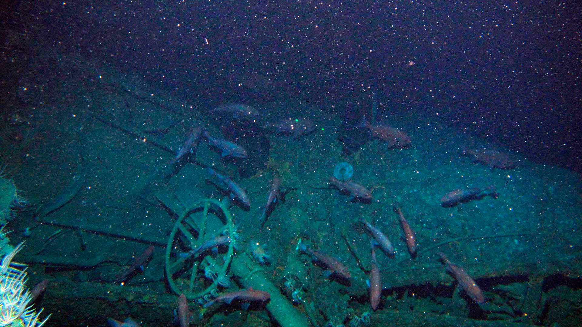 Hallados los restos de un submarino australiano hundido hace más de un siglo