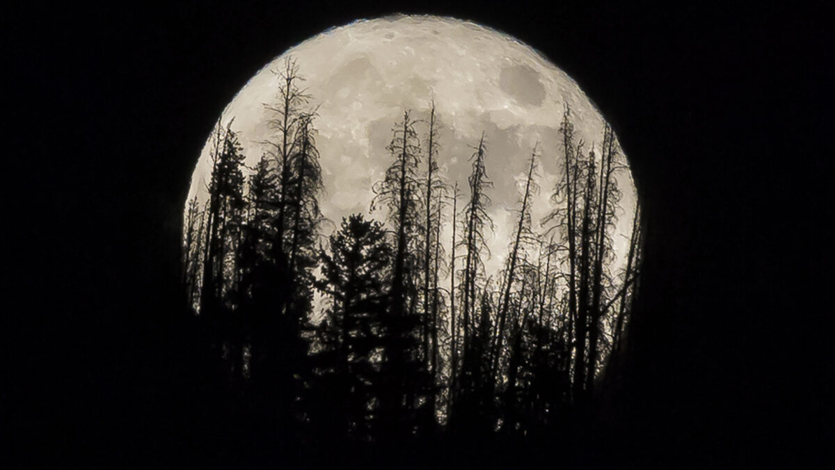 Superluna 2017, así se puede ver la luna más grande del año