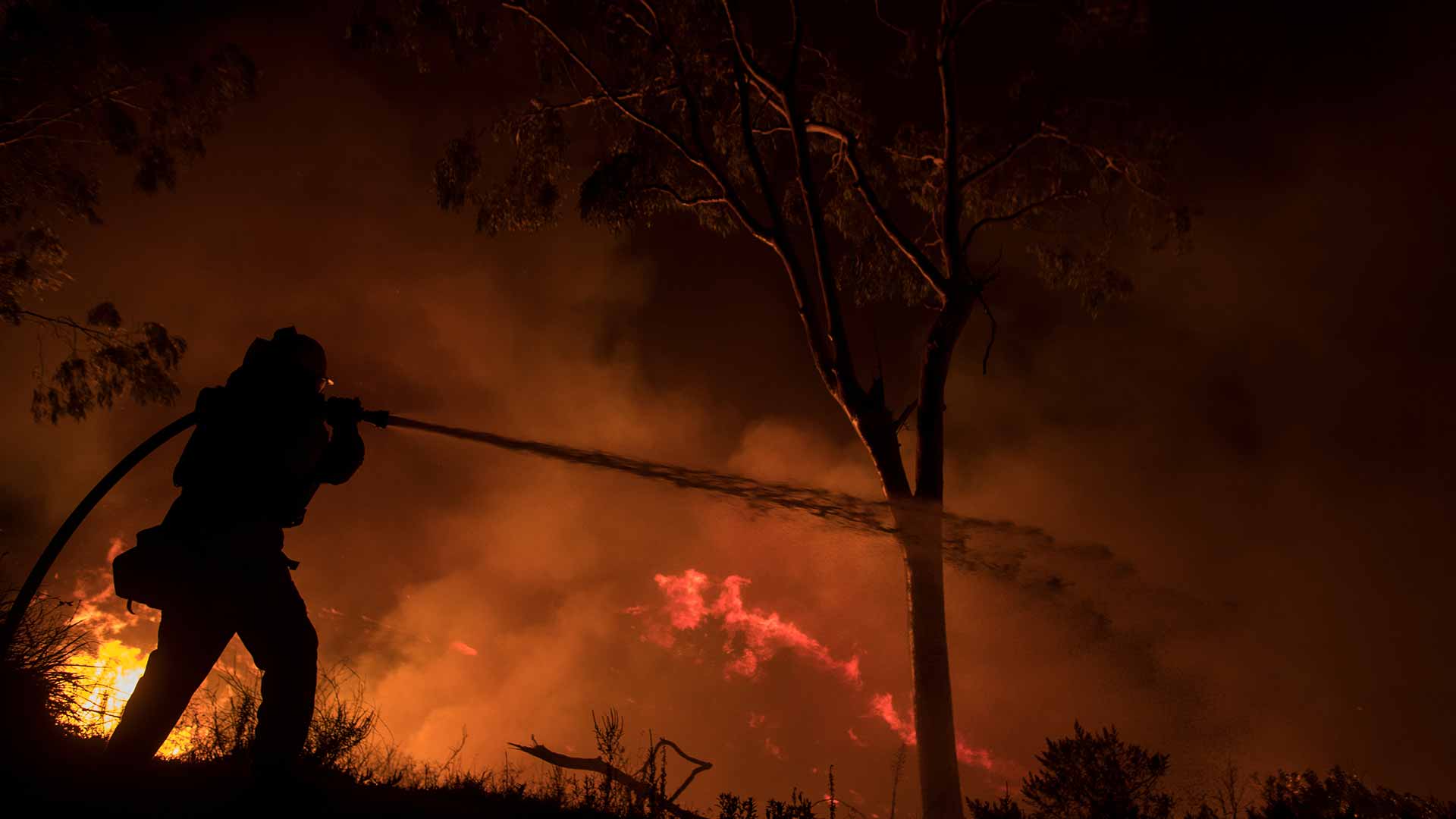 Un bombero muere en el incendio Thomas en California