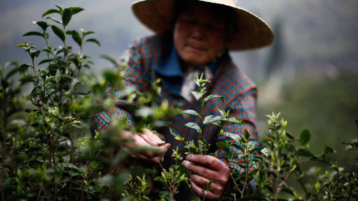 ¿Por qué acusan a las mujeres en la China rural de brujería? Un estudio da las pistas