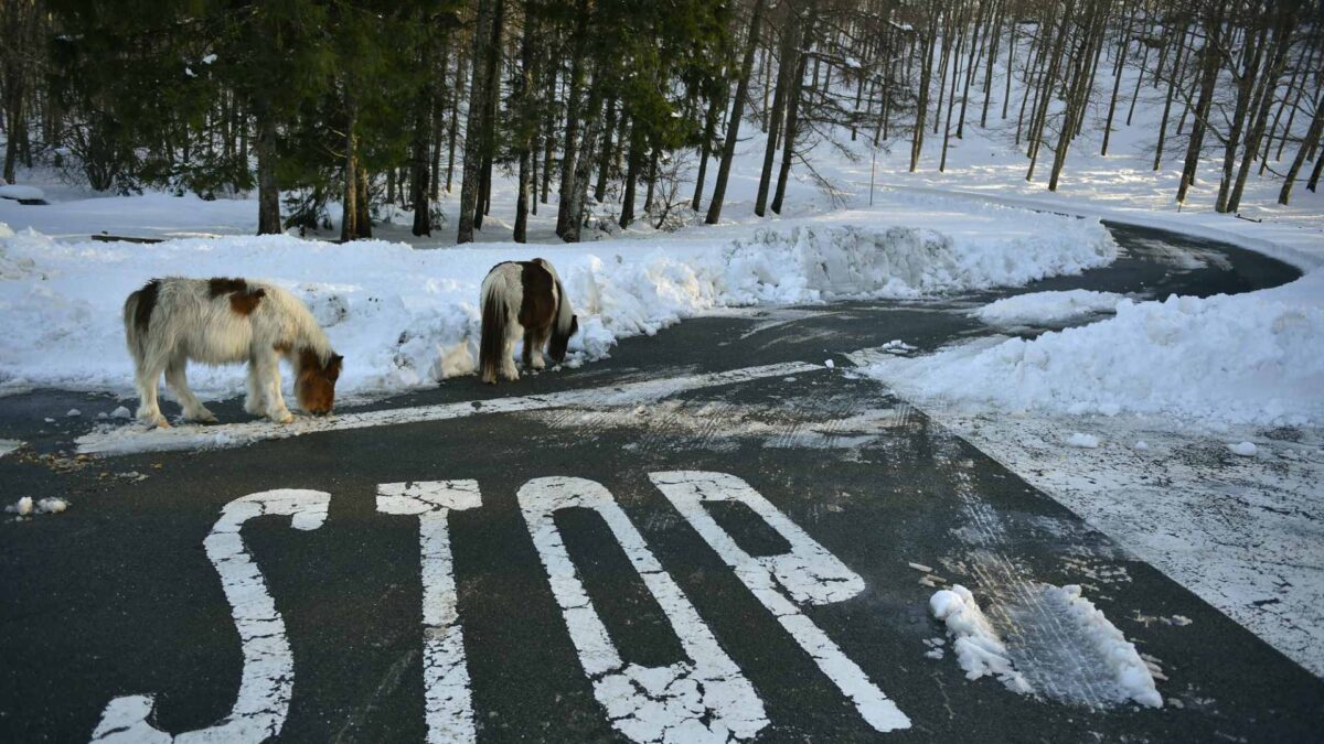 Alerta por nieve, olas y fuerte viento en más de media España