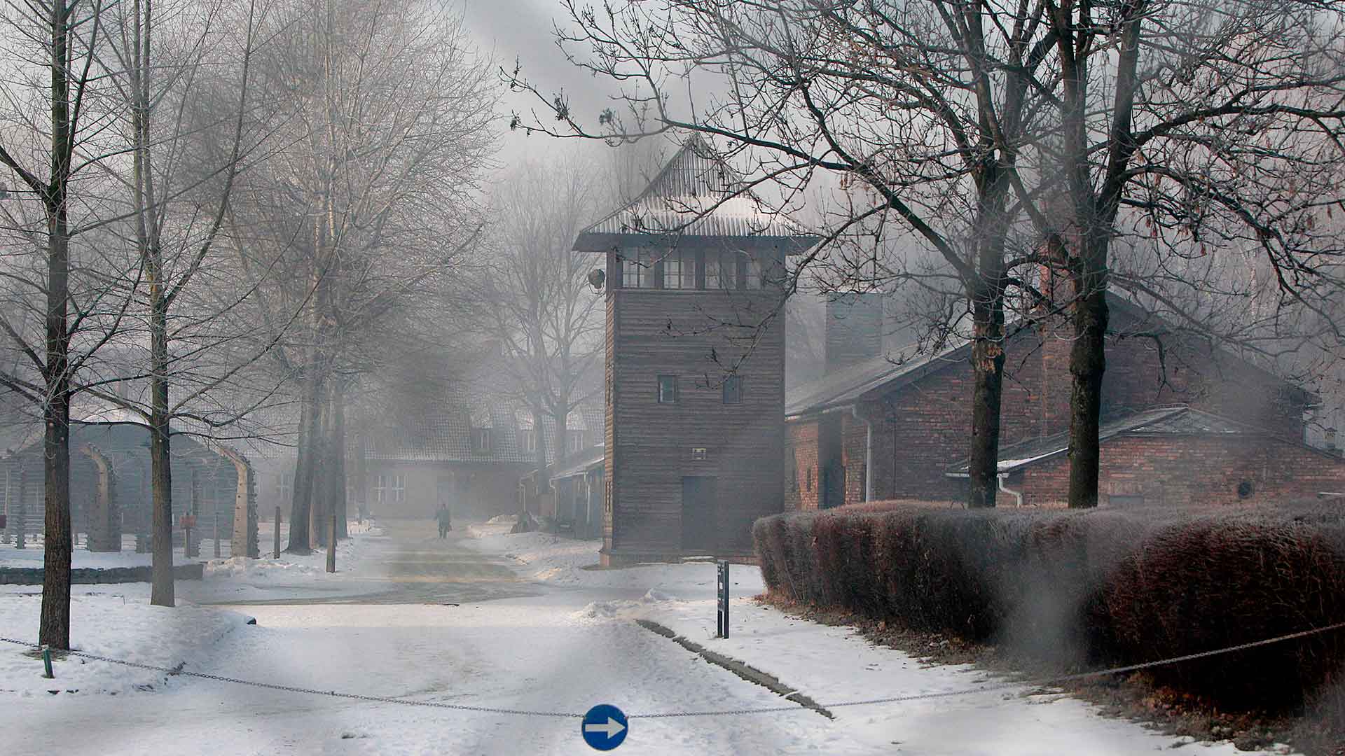 Condenado un neonazi que publicó en internet una réplica en miniatura de Auschwitz