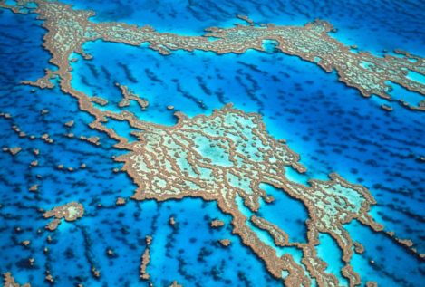 Publicados los primeros mapas del lecho marino de la Gran Barrera de Arrecifes