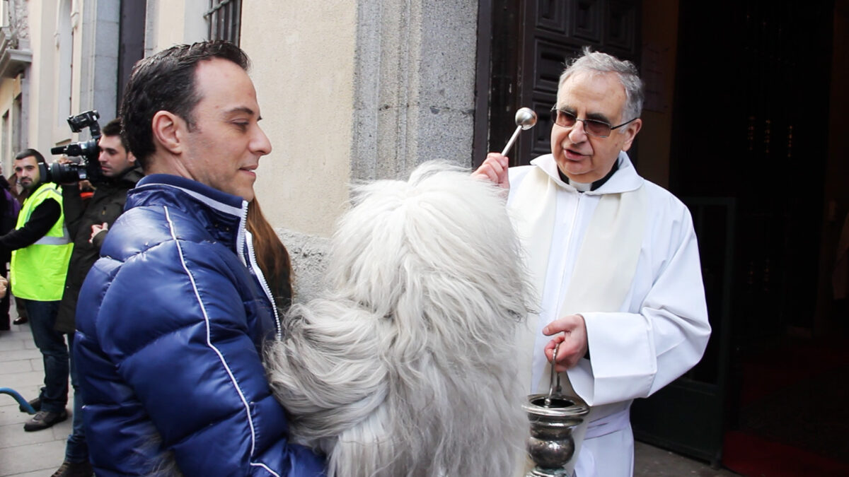 San Antón, protector de los animales