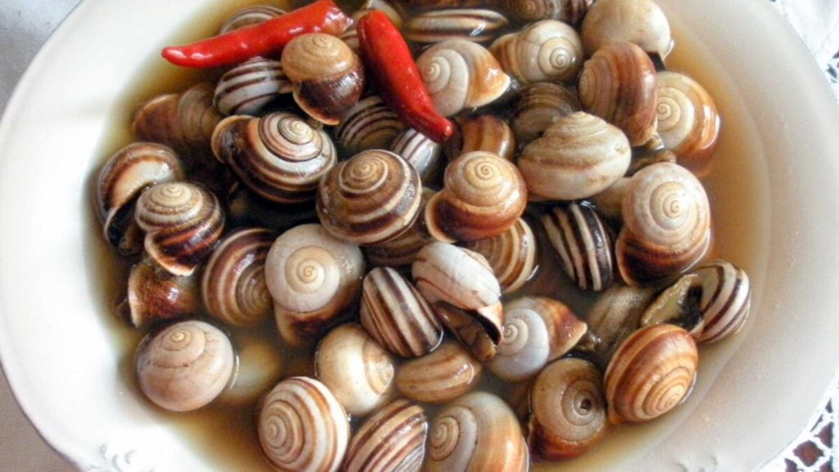 5 recetas para cocinar caracoles que harán que te chupes los dedos