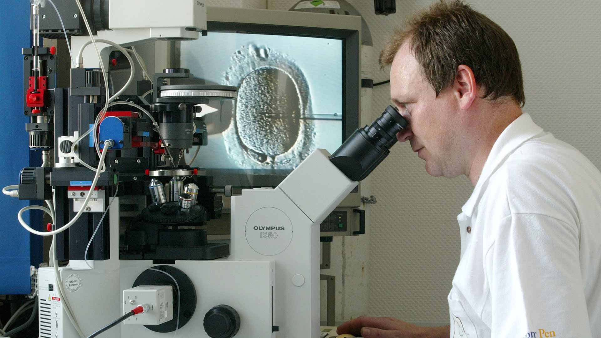 Un grupo de científicos desarrolla óvulos humanos en un laboratorio por primera vez