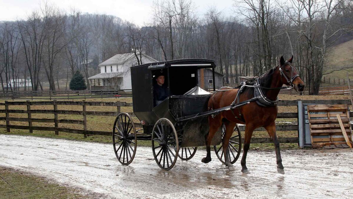 El secreto de los amish para tener una salud de hierro