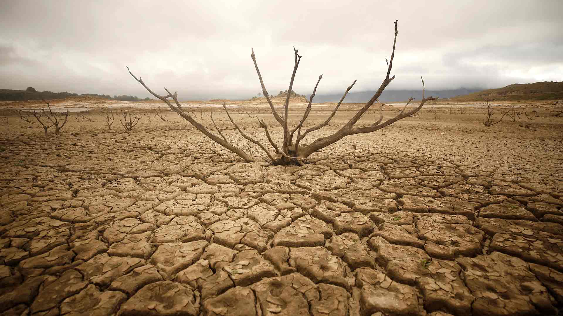 Sudáfrica se declara en situación de catástrofe natural a causa de la sequía en Ciudad del Cabo