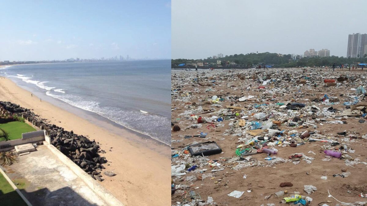 Versova Beach: de playa vertedero a santuario de tortugas