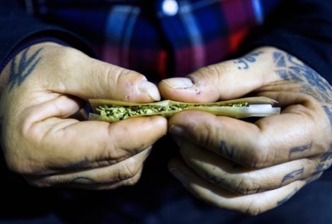 El consumo legal de marihuana crece exponencialmente en Uruguay