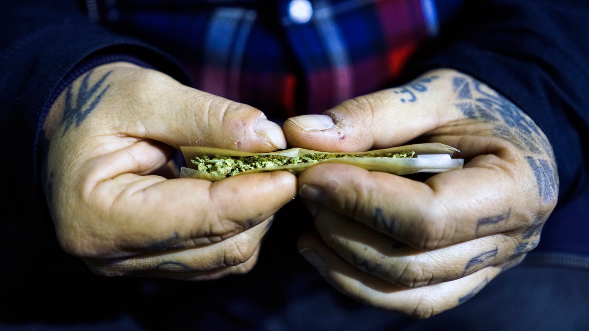El consumo legal de marihuana crece exponencialmente en Uruguay