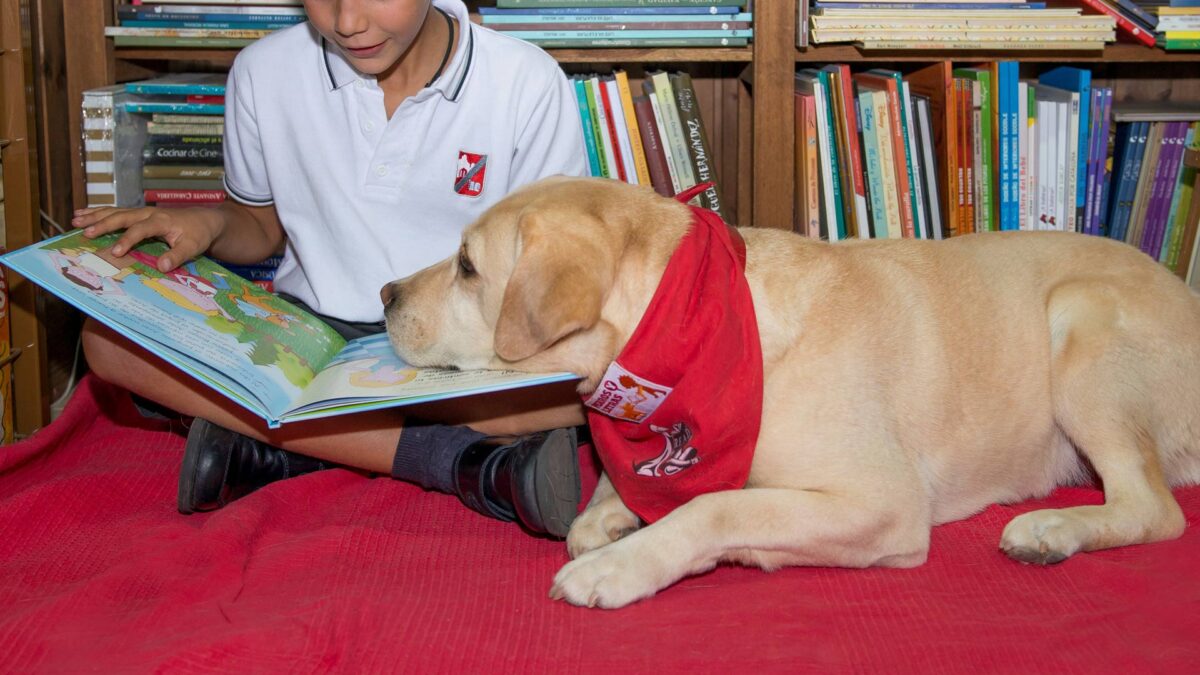 La lectura como clave para mejorar la vida de niños y perros