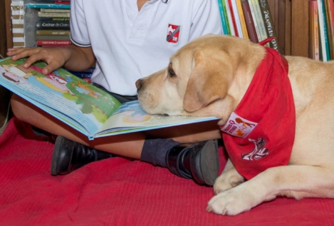La lectura como clave para mejorar la vida de niños y perros