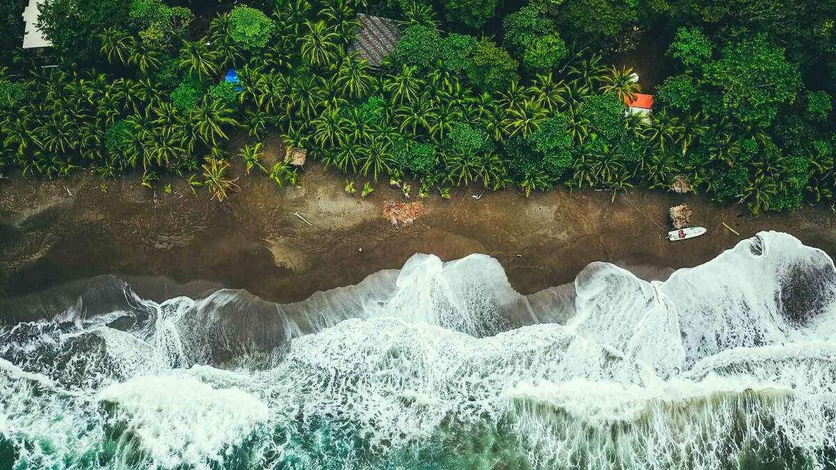 ¿Por qué está la selva del Amazonas en manos de Noruega?