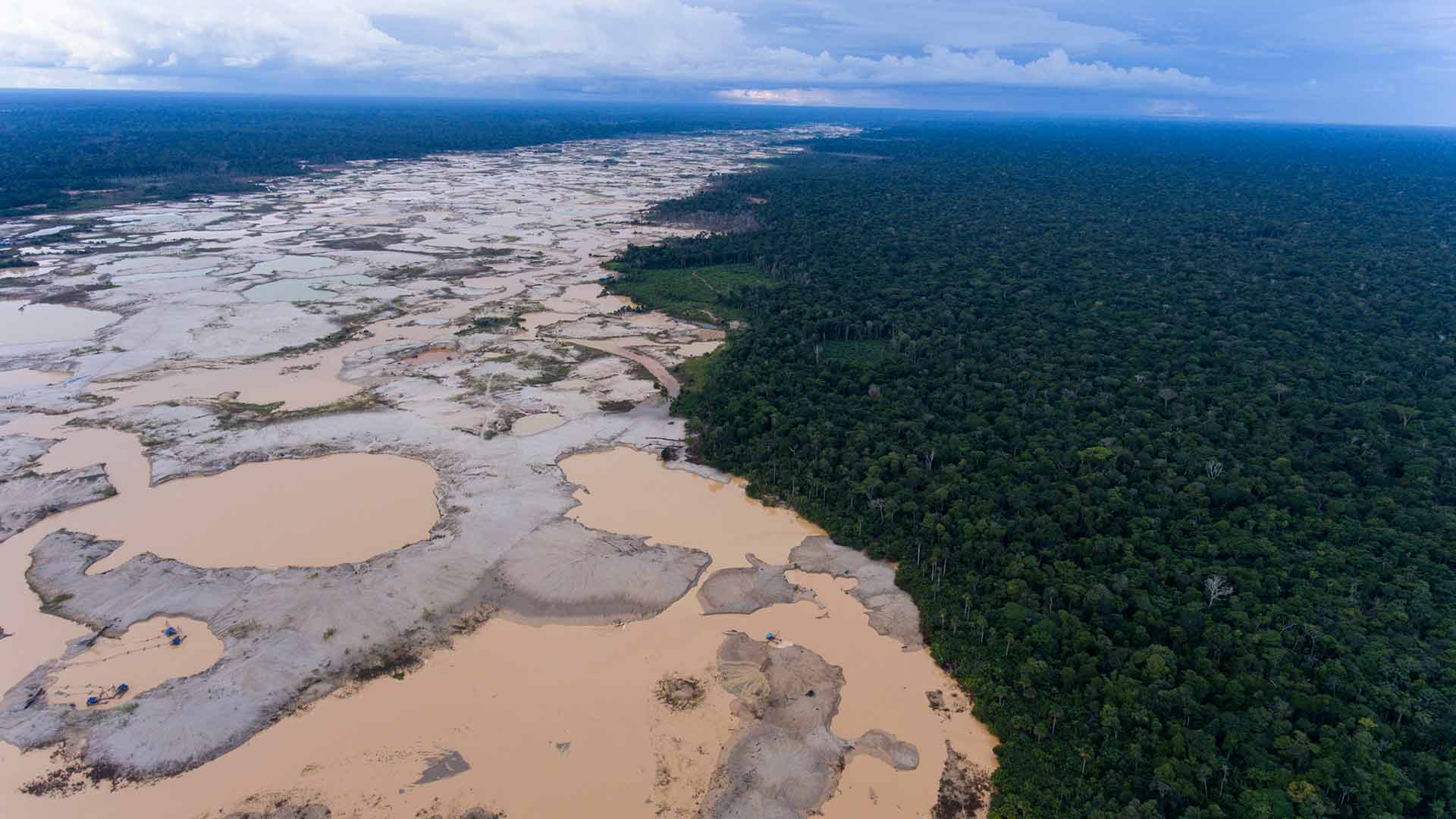 Cerca del 40% de la selva amazónica puede convertirse en sabana, según un estudio