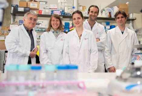Científicos catalanes descifran cómo funciona el genoma de la leucemia
