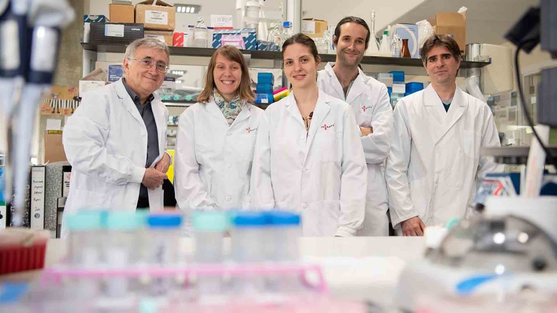Científicos catalanes descifran cómo funciona el genoma de la leucemia