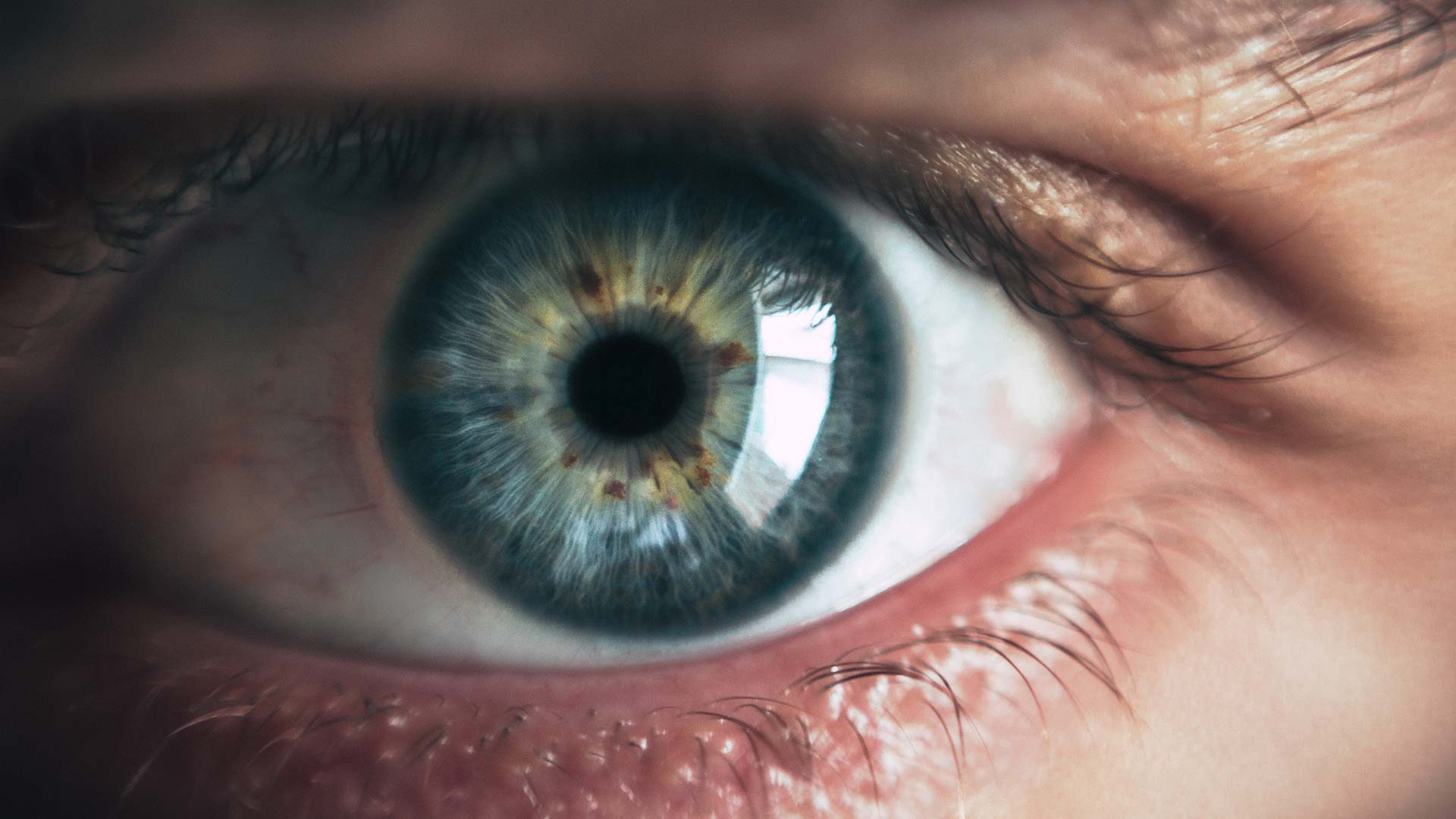 Un equipo científico desarrolla una retina artificial para personas ciegas que se probará en cerdos