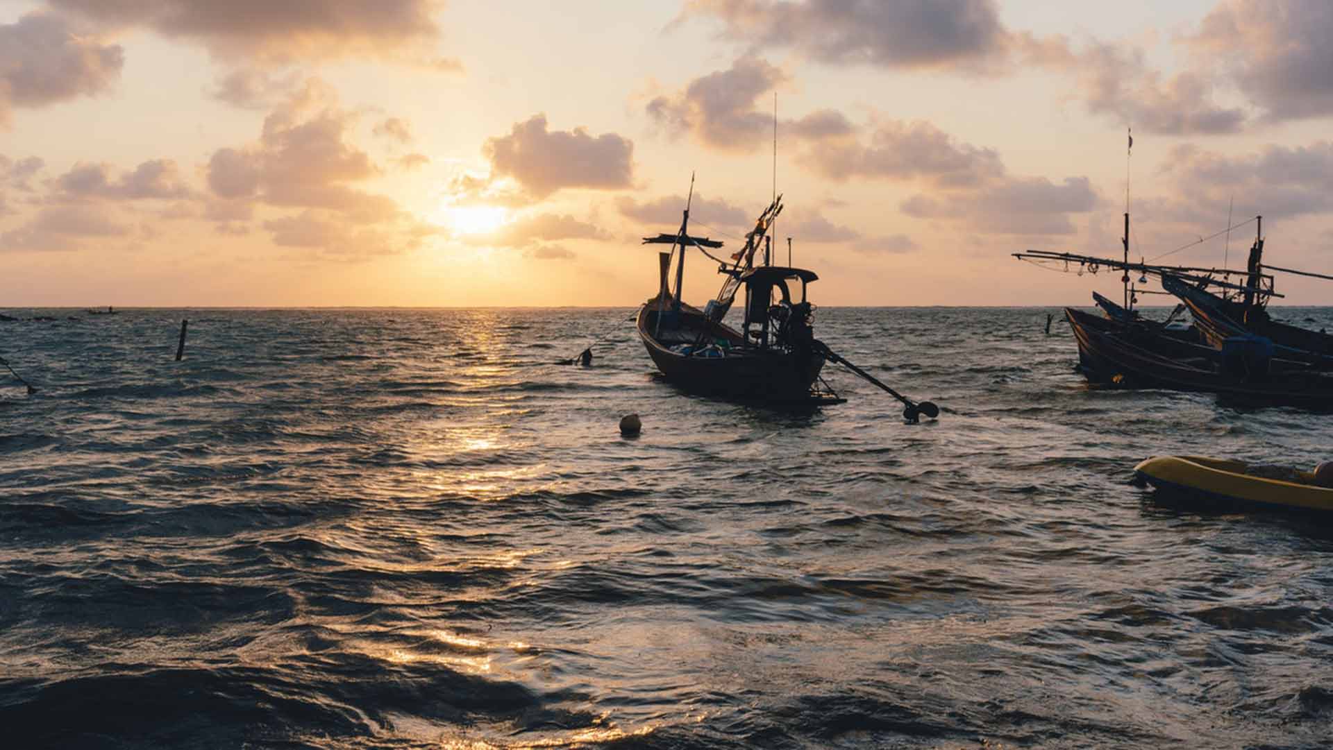 Las malas prácticas pesqueras sumergen al Mediterráneo en una "profunda crisis"