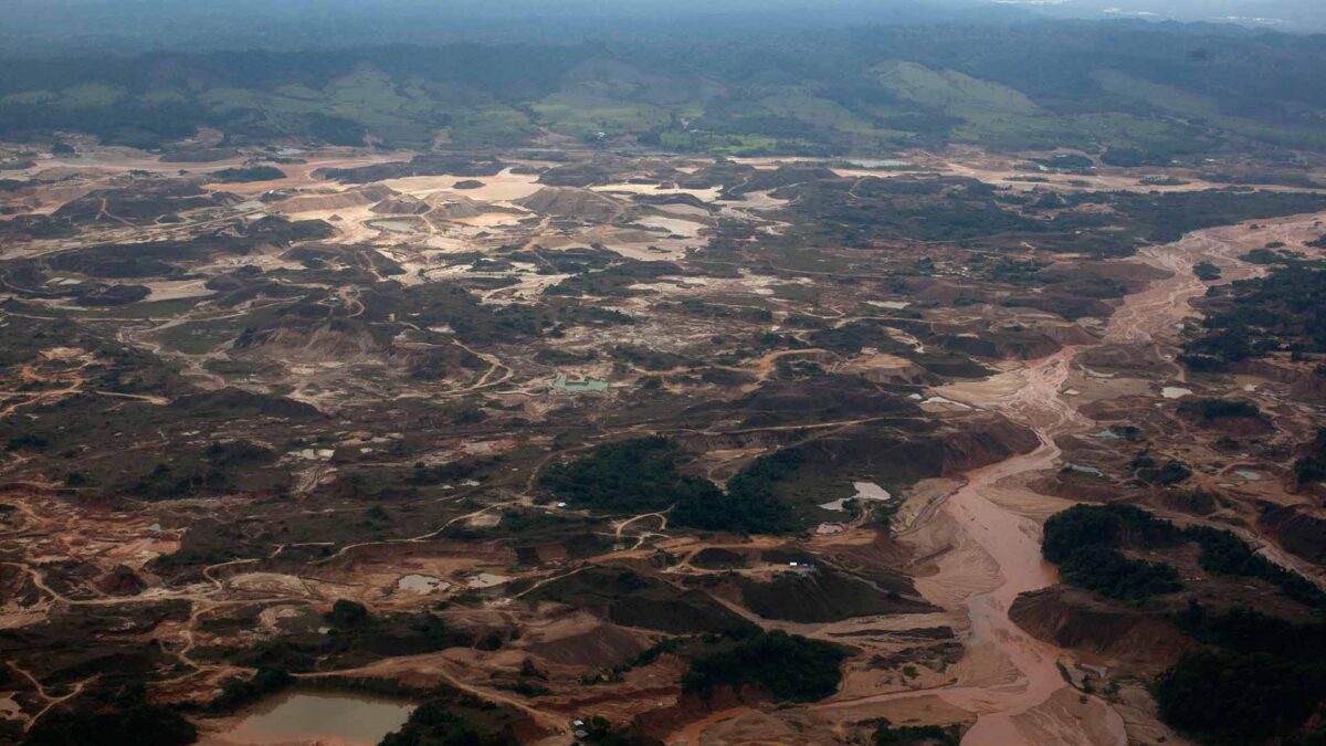 Más de 120.000 hectáreas de bosques desaparecen en la Amazonía peruana cada año