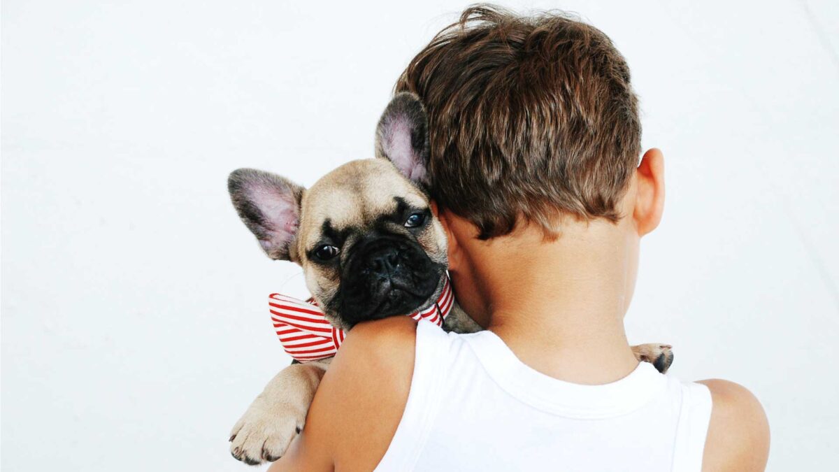 Vivir con un perro puede ser beneficioso para la salud de los niños