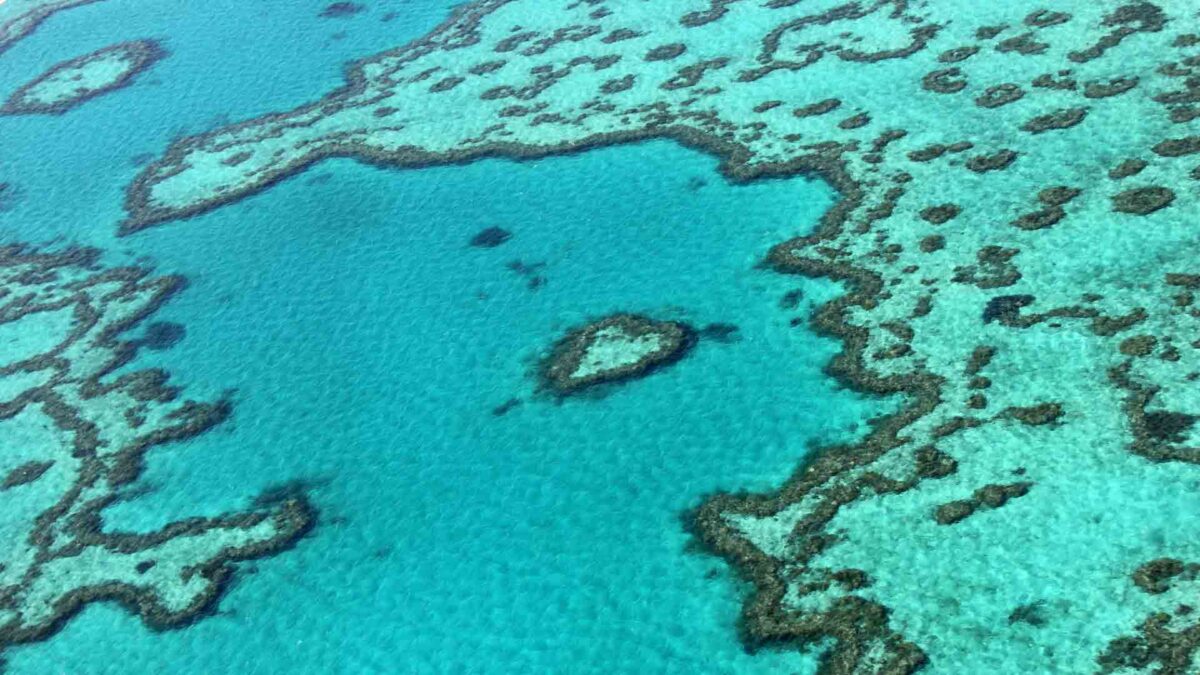 ONG ecologistas piden a Australia la protección de la Gran Barrera de Coral