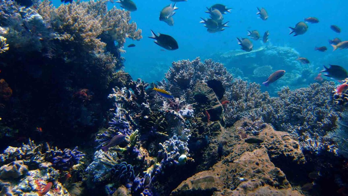 España es el segundo país que más residuos plásticos vierte al mar Mediterráneo