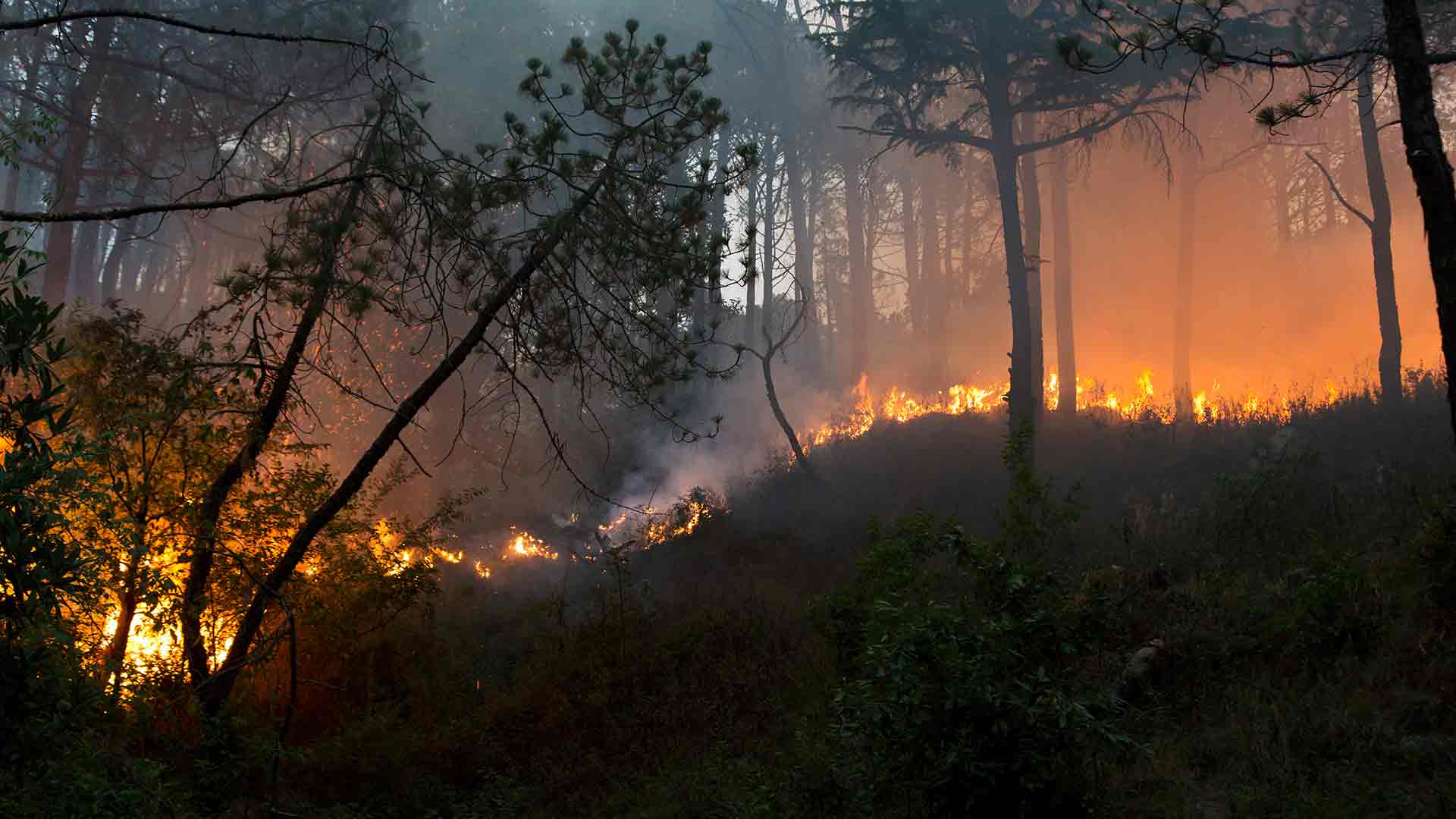Los grandes incendios forestales aumentaron en un 200% en España en 2017