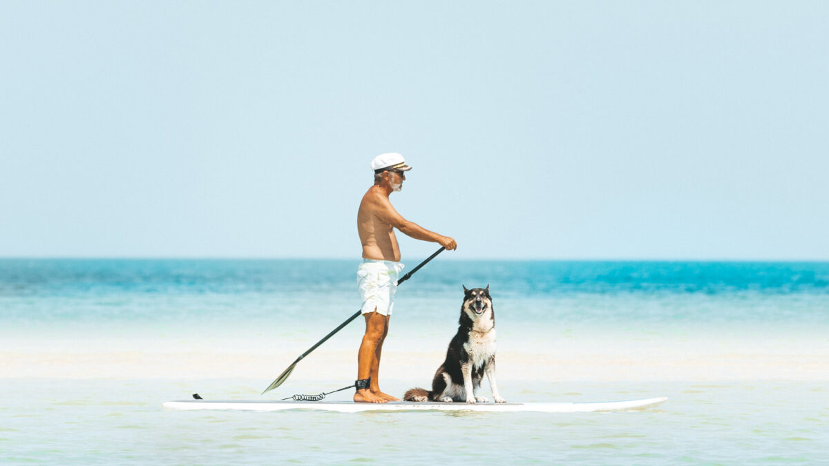 5 accesorios para mantener a tu perro fresco en verano