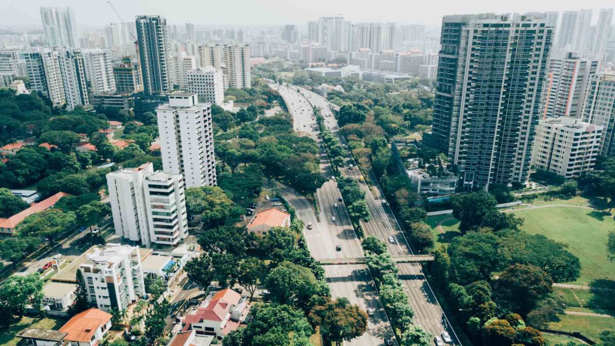 Elegir los árboles adecuados limpia más el aire de las ciudades, según expertos