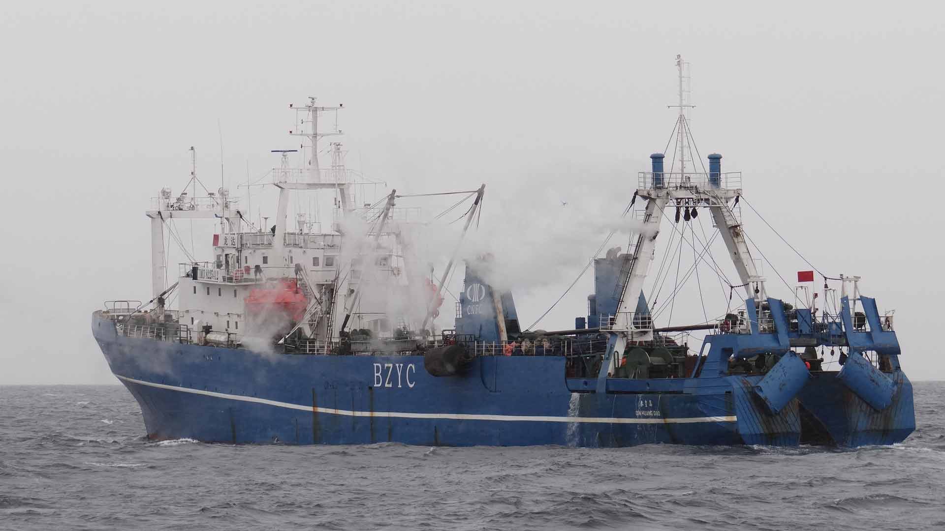 Las cinco grandes empresas pesqueras de kril acuerdan limitar su actividad en la Antártida