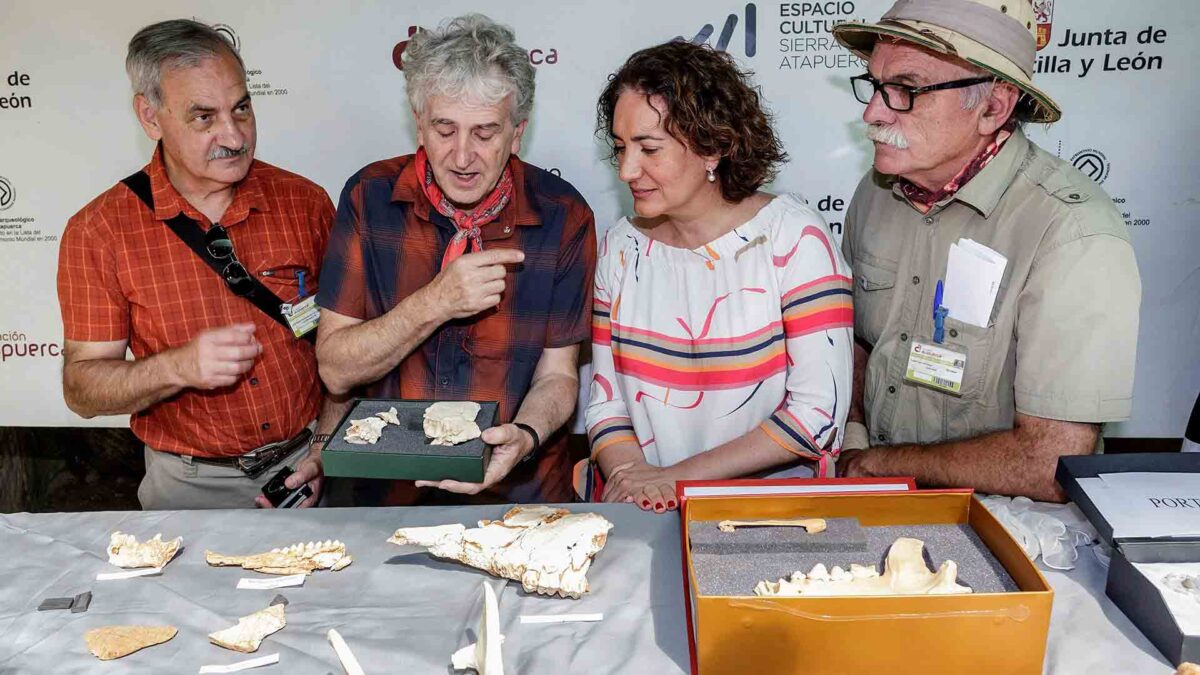 Hallan en Atapuerca restos del cráneo de una adolescente de más de 300.000 años