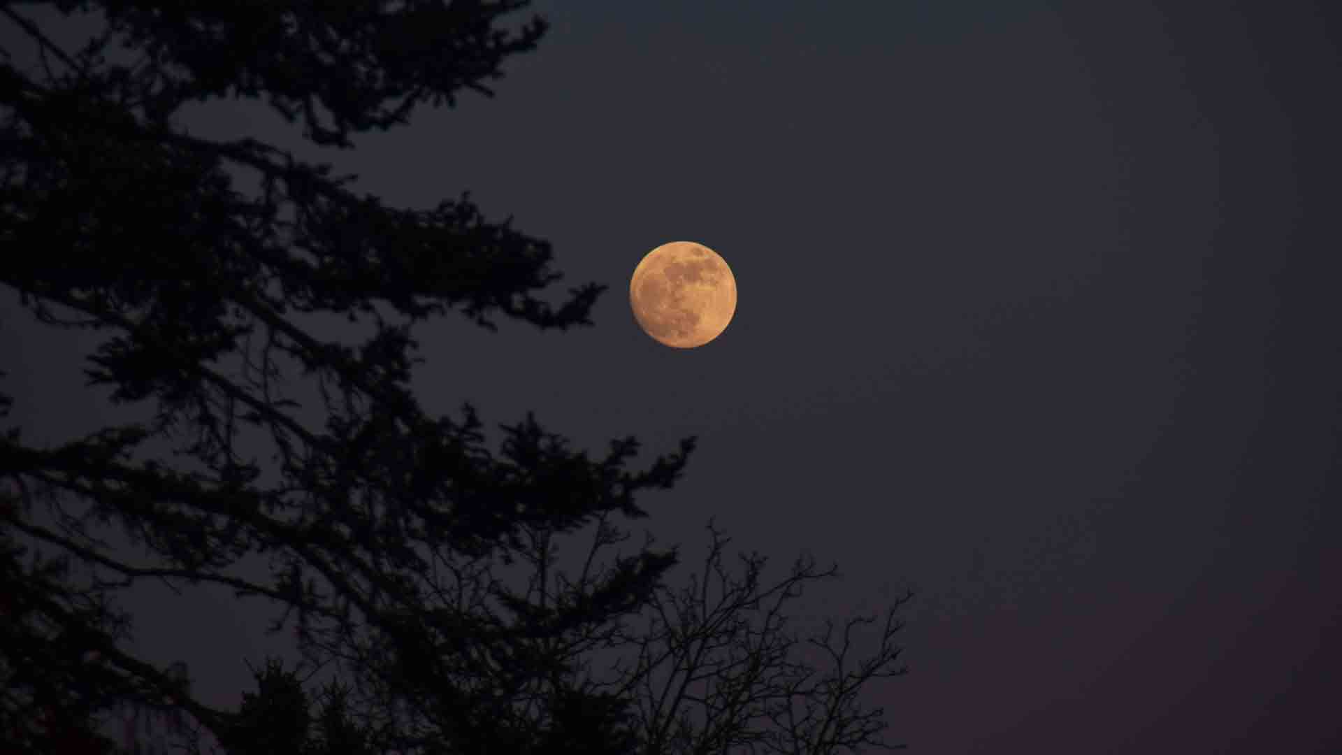 La ‘Luna de sangre’ más larga del siglo XXI se podrá ver este viernes