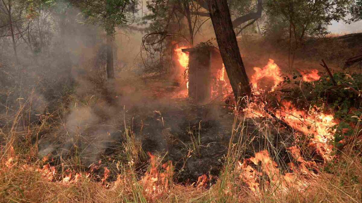 Un incendio sin control en el norte de California deja ya seis muertos y miles de evacuados