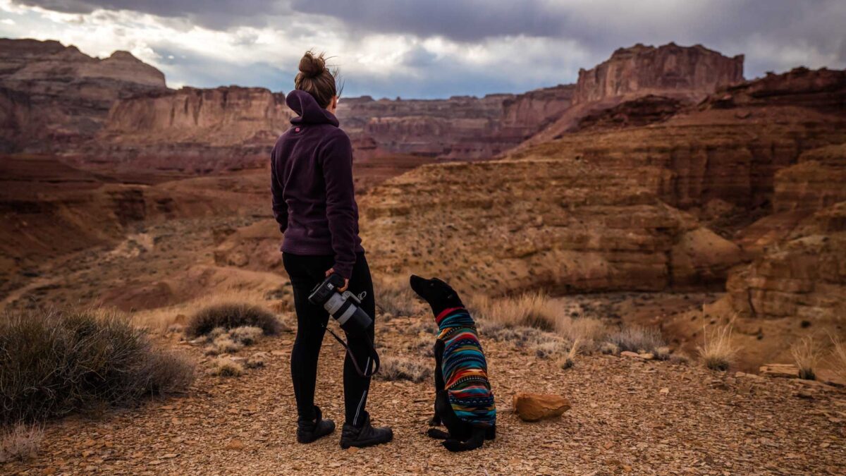 10 consejos infalibles para fotografiar a tu perro como un profesional