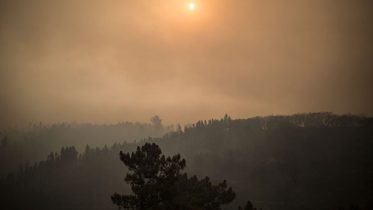 Controlado el incendio del Algarve tras arrasar más de 15.000 hectáreas en una semana