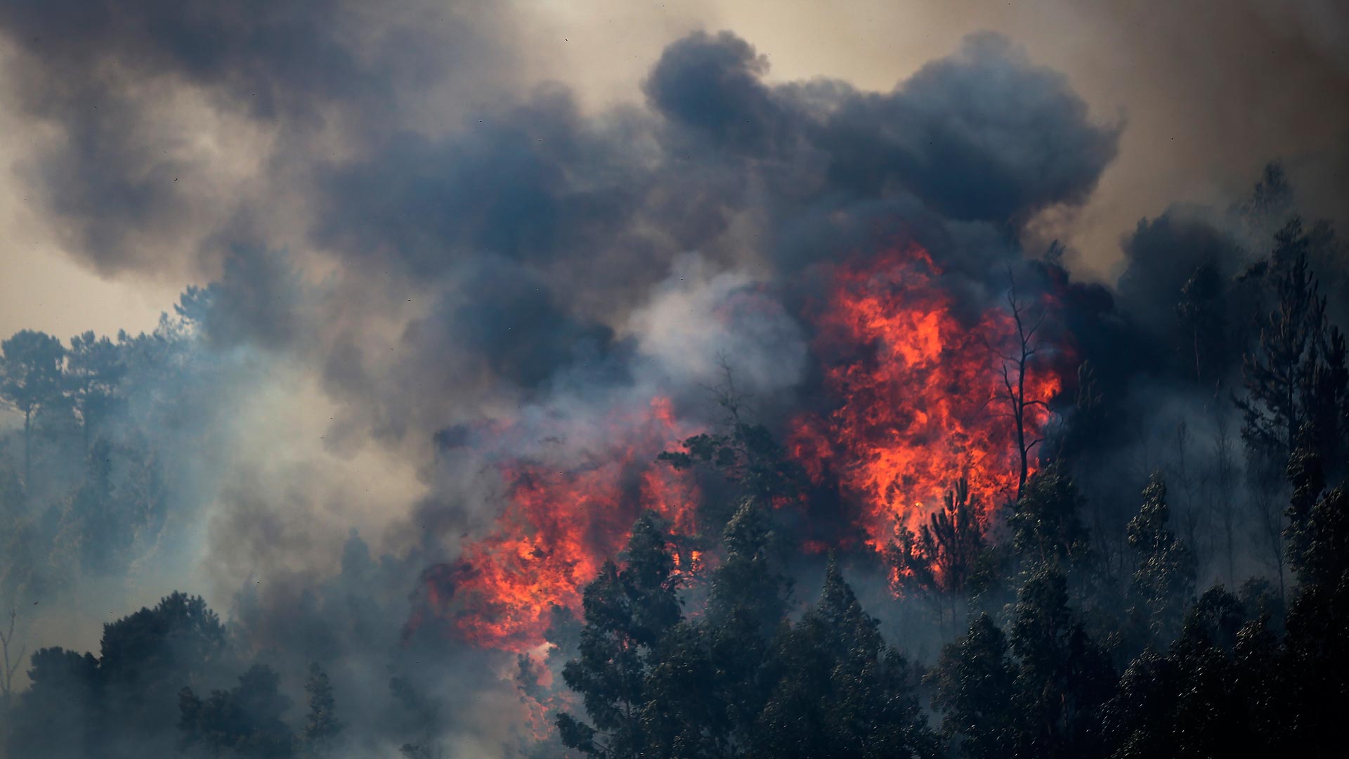 El incendio de Algarve arrasa más de 15.000 hectáreas en una semana
