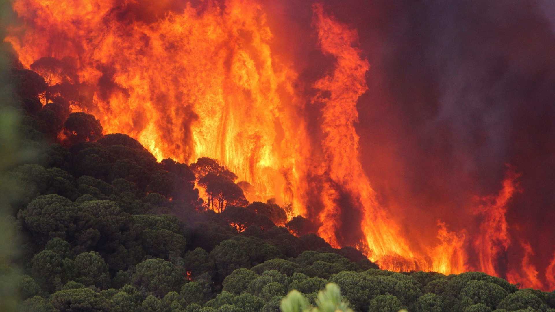 Un incendio con dos focos activos en Nerva, en la provincia de Huelva, moviliza a la UME