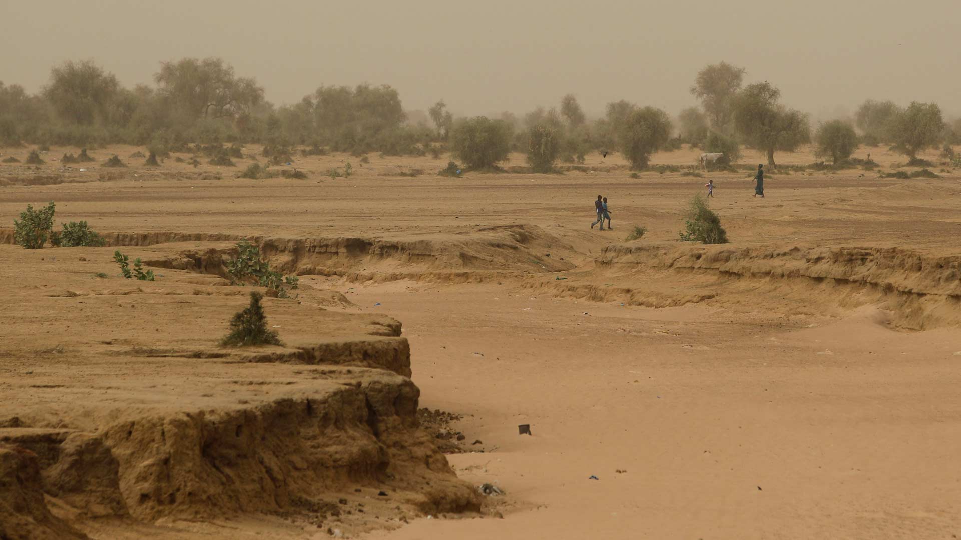 Una sequía en Senegal deja sin alimentos a 245.000 personas