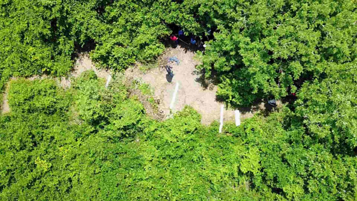 Hallados 166 cadáveres en una fosa clandestina en México