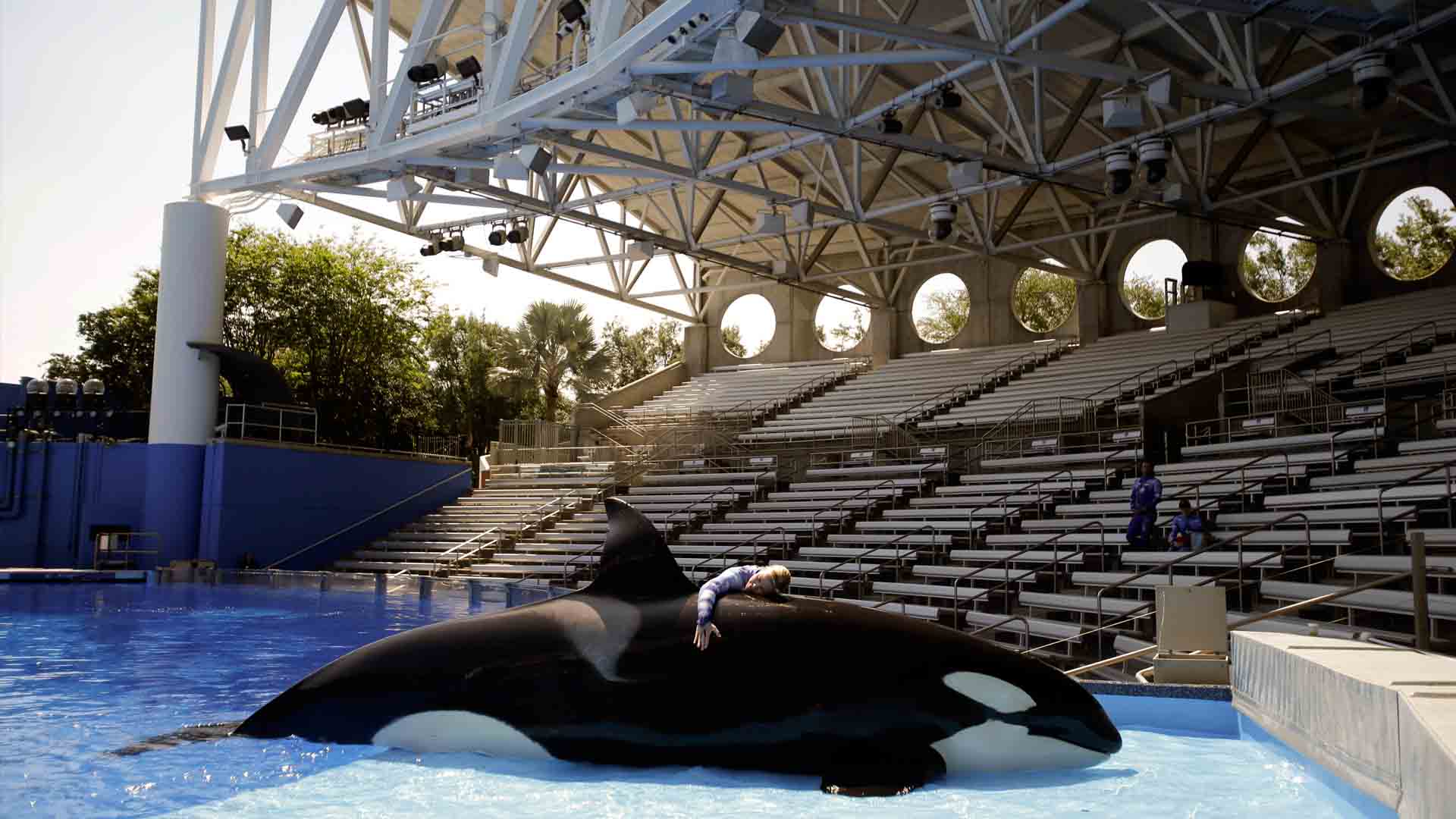 Multa millonaria para SeaWorld por ocultar el impacto del documental ‘Blackfish’