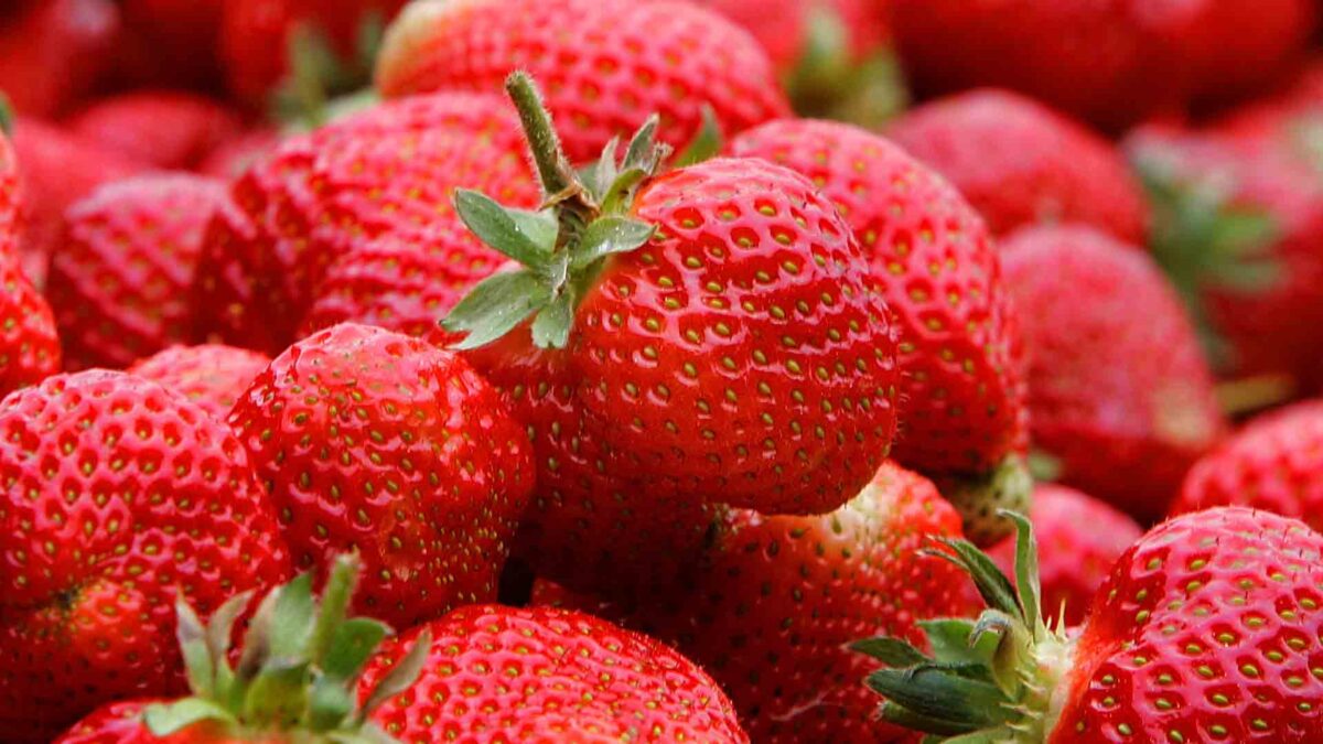 Temor en Australia por los casos de fresas con agujas en supermercados