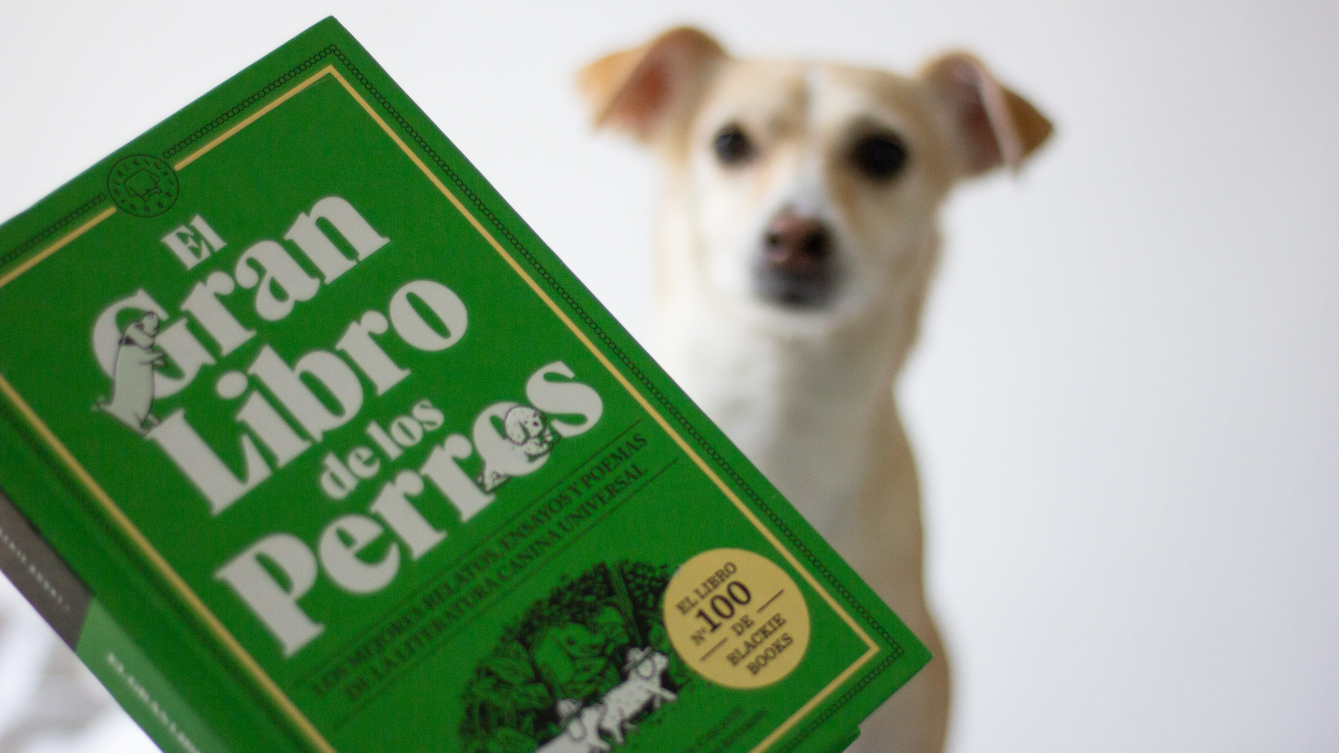El libro número 100 de Blackie Books está dedicado a los perros