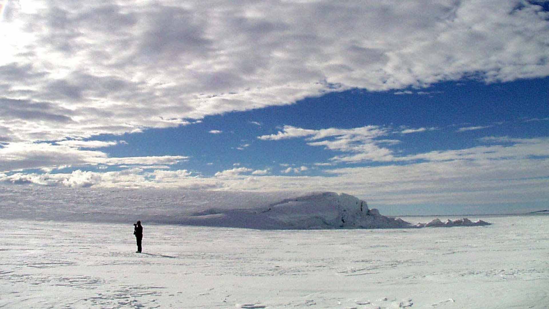 La creación del mayor santuario marino en la Antártida tendrá que esperar por la falta de acuerdo