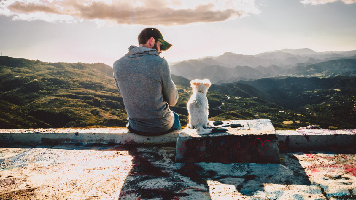 ¿Crees que a tu perro le gusta que le hables como a un bebé?